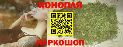 гидра Туймазы