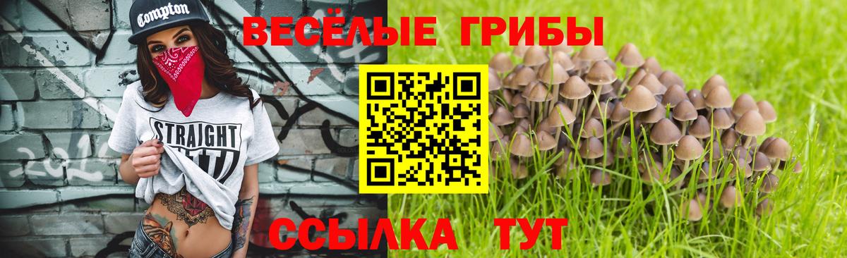Норильск  Галлюциногенные грибы MAGIC MUSHROOMS  Вход с VPN  Галлюциногенные грибы мицелий 