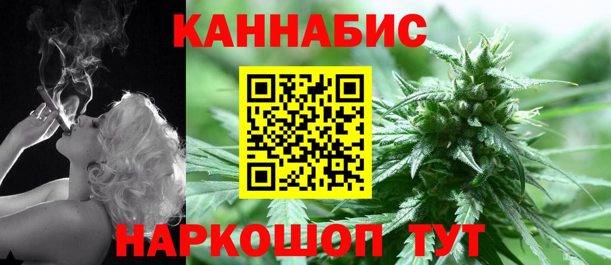 Бошки Шишки семена Норильск